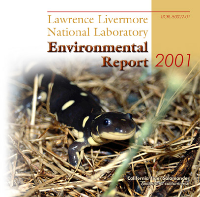 Environmental Report 2001 cover.