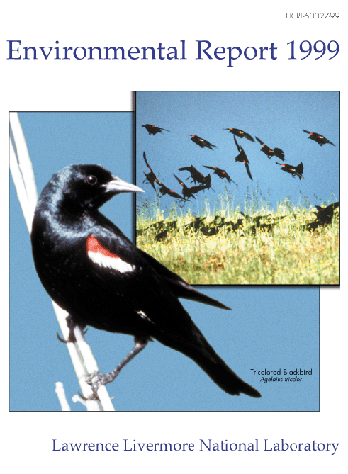 Environmental Report 1999 cover.